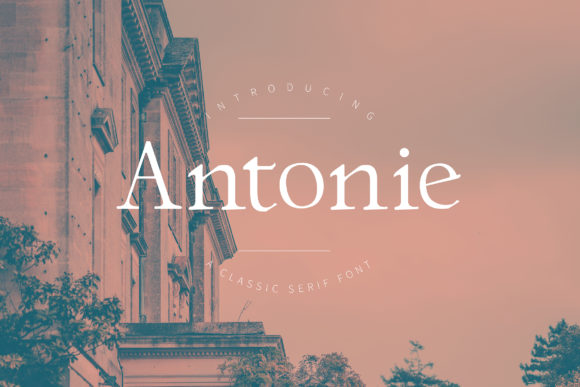 Antonie: A Classic Serif Font for Authentic Branding