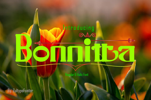 Bonnitta: A Modern Serif Font for Polished Web Design