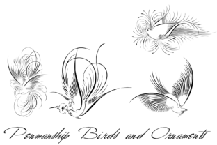 Designing with Penmanship Birds and Ornaments Font