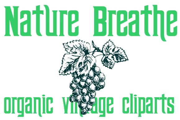 Nature Breathe: A Versatile Dingbats Font for Editorial Design