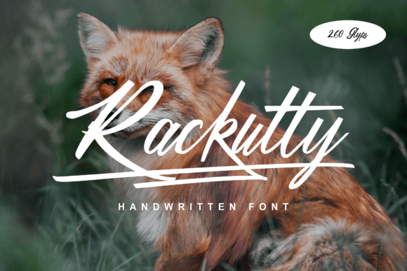 Rackutty Font Review: A Handwritten Typeface for Web Design